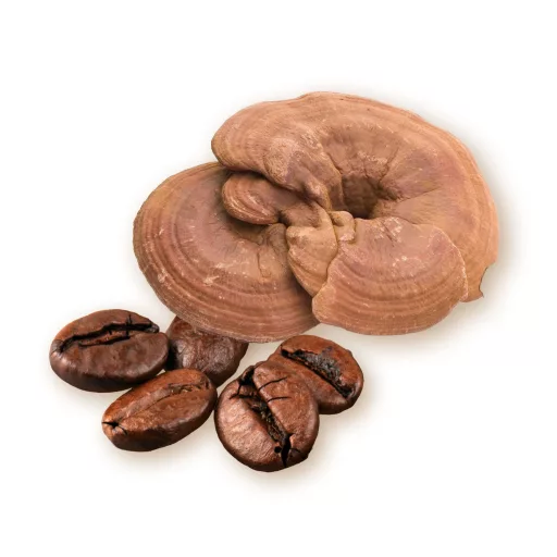 Caleido kava Arabica in Ganoderma, 100 g material