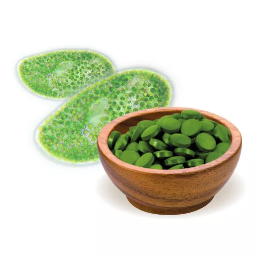 BioMenü organske tablete iz alg chlorella 250 g material