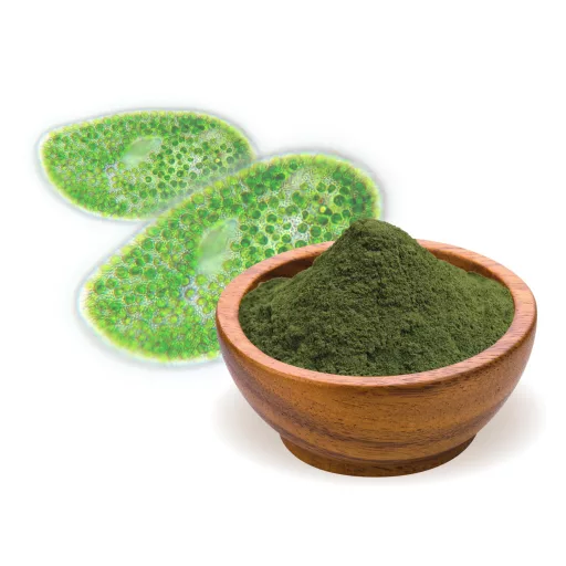 BioMenü organska alga chlorella v prahu 250 g material