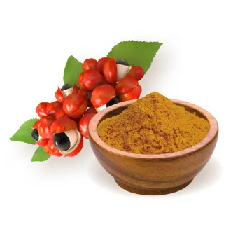 BioMenü ekološki guarana v prahu 60 g slika izdelka