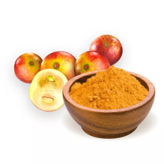 BioMenü ekološki prah camu camu 60 g slika izdelka