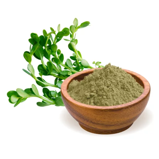 BioMenü ekološki prah brahmi 125 g material