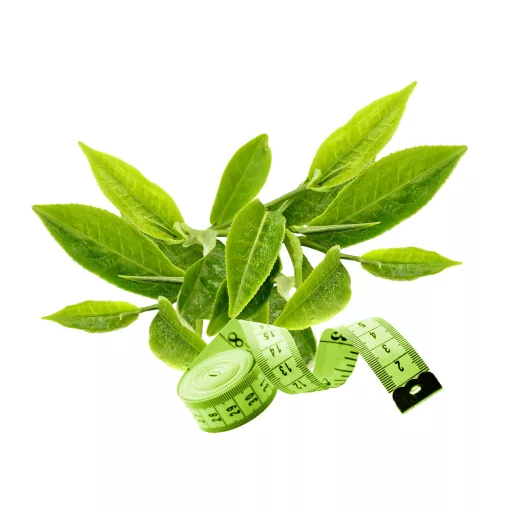 Caleido Greenslim kapsule z zelenim čajem 90 kapsul