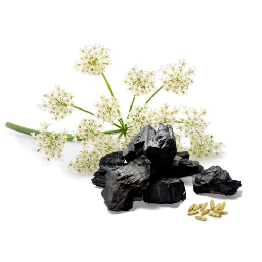 Caleido janež + aktivno oglje v kapsulah, 60 kapsul material