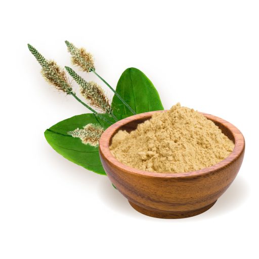 BioMenü ekološka psiliumova moka 125 g material