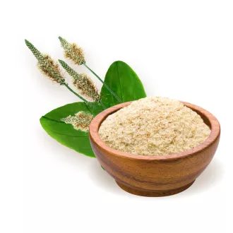 BioMenü ekološka psiliumova lupina 125 g slika izdelka