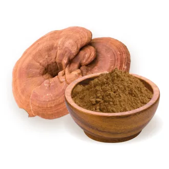 BioMenü ekološki prah gobe ganoderma 100 g slika izdelka