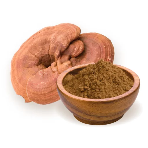 BioMenü ekološki prah gobe ganoderma 100 g material