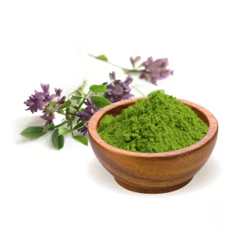 BioMenü organska alfalfa v prahu 125 g slika izdelka