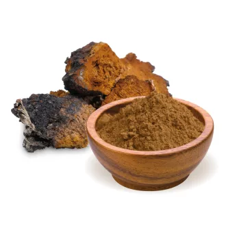BioMenü organska goba chaga v prahu 100 g slika izdelka