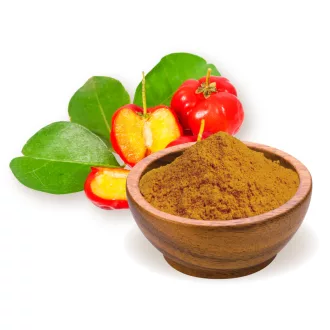 BioMenü organski prah iz acerola jagod 60 g slika izdelka