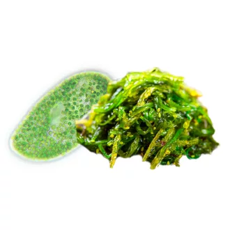 BioMenü organske kapsule iz alg chlorella in spirulina 60 kosov slika izdelka