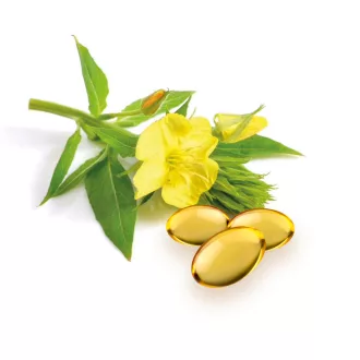 Caleido Kapsule z oljem iz večernega primula + vitamin E 60 kapsul slika izdelka