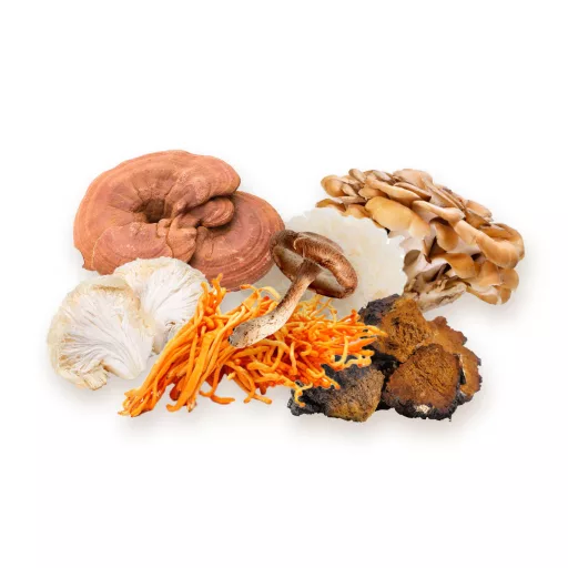 BioMenü organske kapsule z mešanico 7 gob 60 kosov material