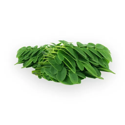 BioMenü organske moringa kapsule 60 kosov material