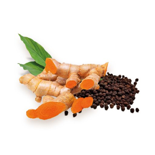 BioMenü organske kapsule kurkume + črnega popra 60 kosov material