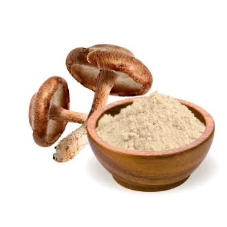 BioMenü ekološki prah gobe shiitake 100 g slika izdelka