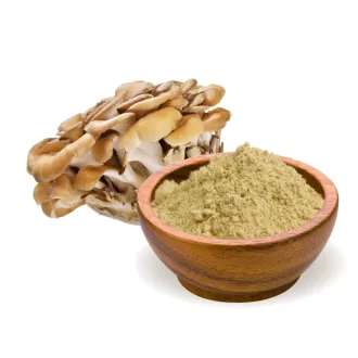 BioMenü organska maitake goba v prahu 100 g slika izdelka