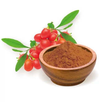 BioMenü ekološke goji jagode v prahu 60 g slika izdelka