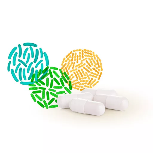 Caleido kapsule mega probiotika, 60 kapsul material