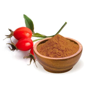 BioMenü ekološki prah šipka 125 g slika izdelka
