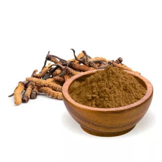 BioMenü organska moka iz gob cordyceps sinensis 100 g slika izdelka