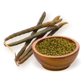 BioMenü organska mungo fižol 500 g slika izdelka