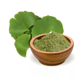 BioMenü ekološki ginkgo biloba v prahu 100 g slika izdelka