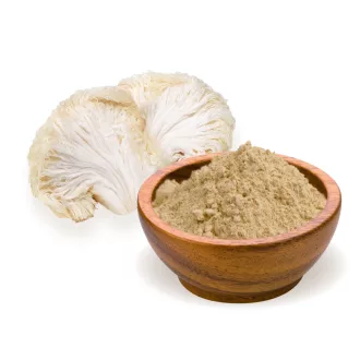 BioMenü organska goba sponge v prahu 100 g slika izdelka