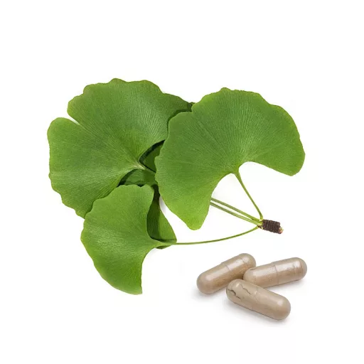 BioMenü ekološke kapsule ginkgo biloba 60 kosov material