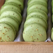 Makaroni s spirulino in pistacijami