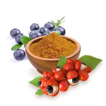 Duševne funkcije, živčni sistem, stres