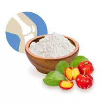 Sklepih, hrustanec, kosti