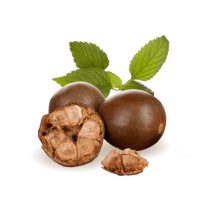 Sladilo iz menihovega sadja