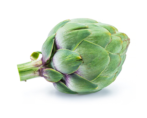 Artičoka