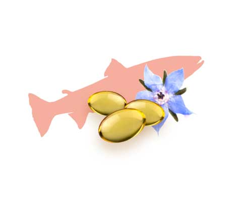 Lososovo olje in olje boraga